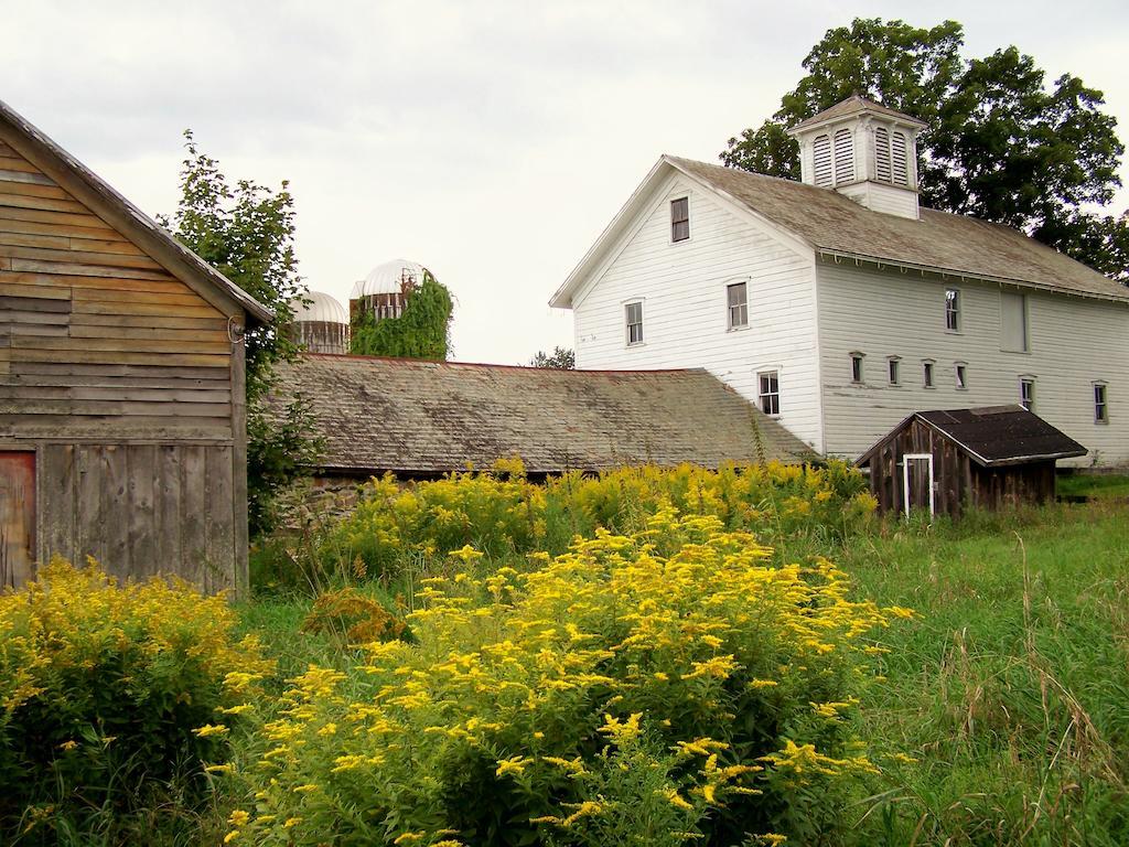 סאראטוגה ספרינגס Saratoga Farmstead B&B מראה חיצוני תמונה
