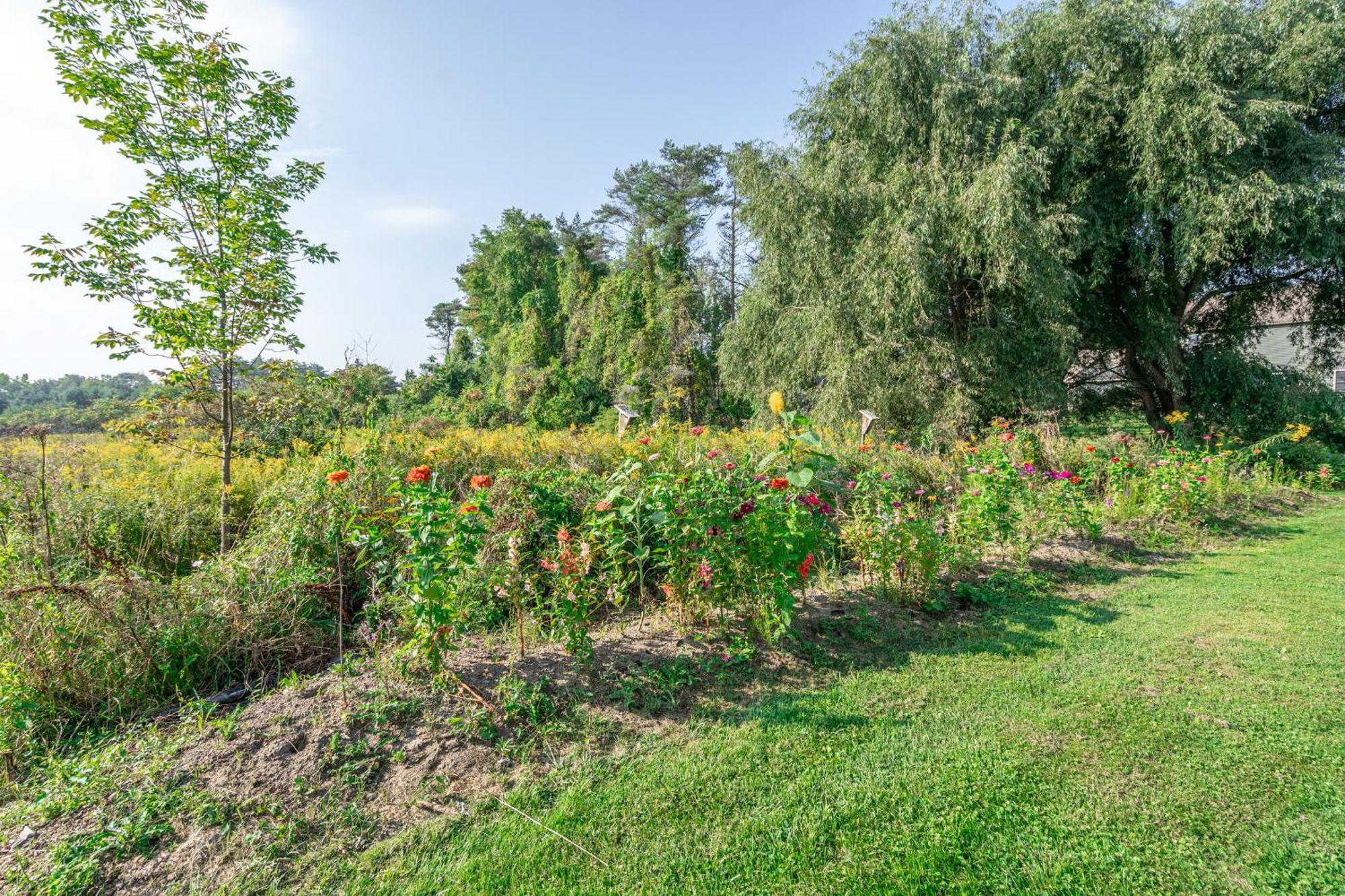 סאראטוגה ספרינגס Saratoga Farmstead B&B מראה חיצוני תמונה