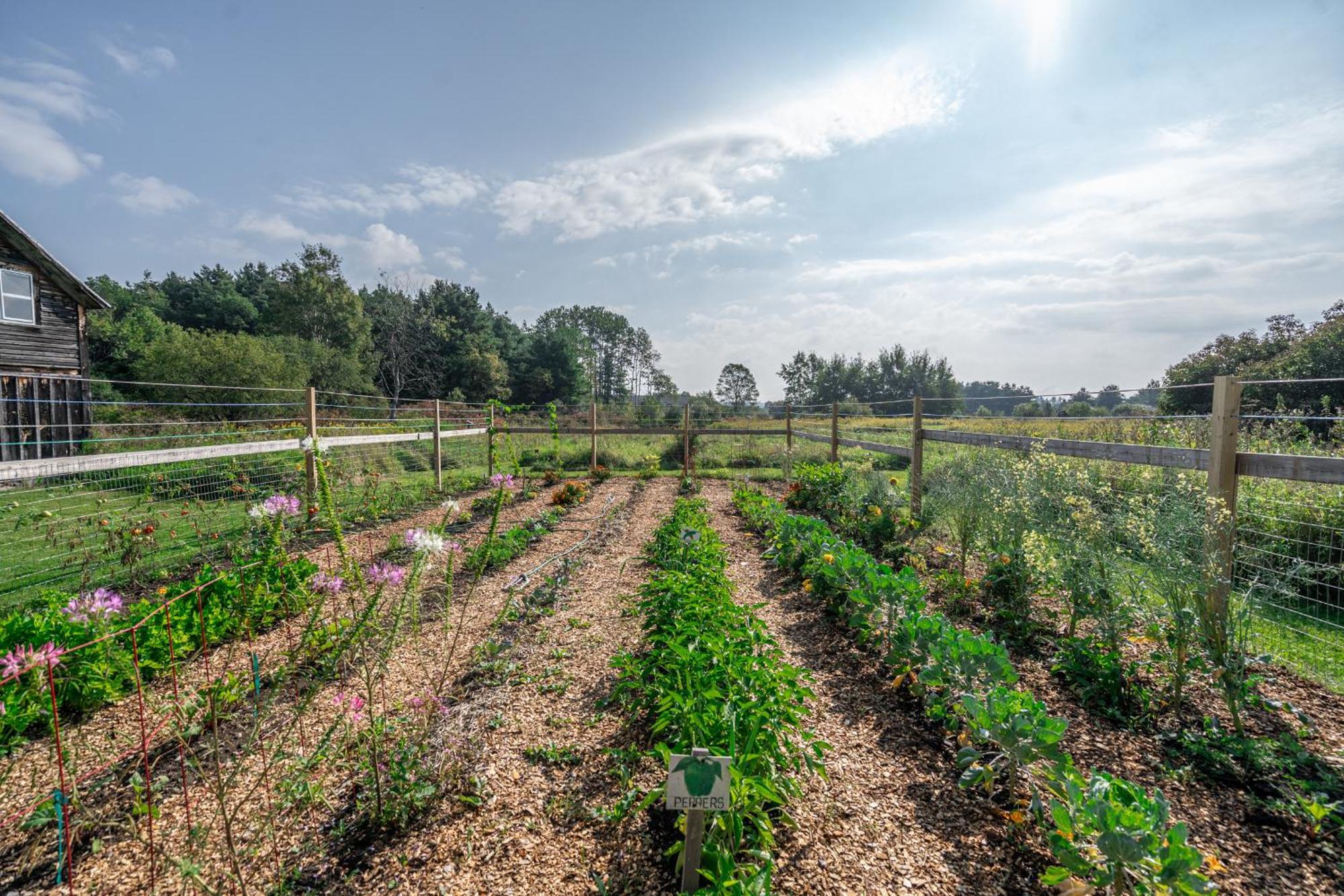 סאראטוגה ספרינגס Saratoga Farmstead B&B מראה חיצוני תמונה