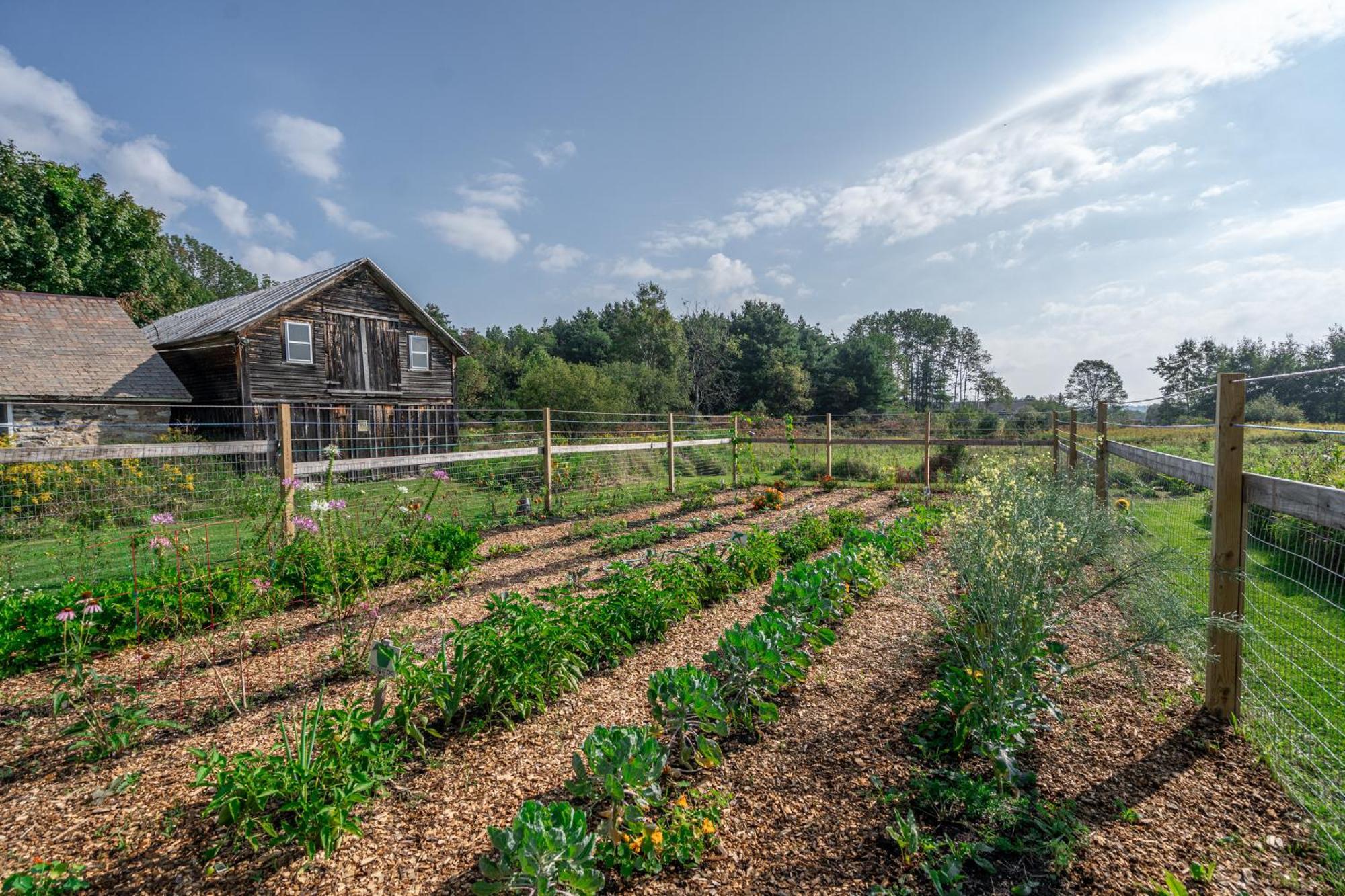 סאראטוגה ספרינגס Saratoga Farmstead B&B מראה חיצוני תמונה